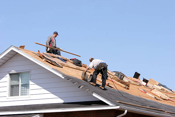 Skylights in Clio, MI